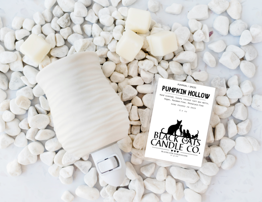 WM-Pumpkin Hollow Wax Melts